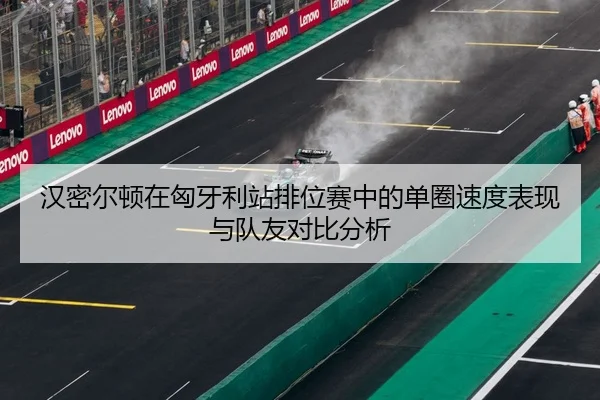 han-mi-er-dun-zai-xiong-ya-li-zhan-pai-wei-sai-zhong-de-dan-quan-su-du-biao-xian-yu-dui-you-dui-bi-fen-xi-3-915.jpg