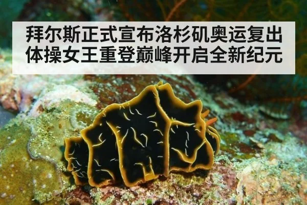 拜尔斯正式宣布洛杉矶奥运复出 体操女王重登巅峰开启全新纪元